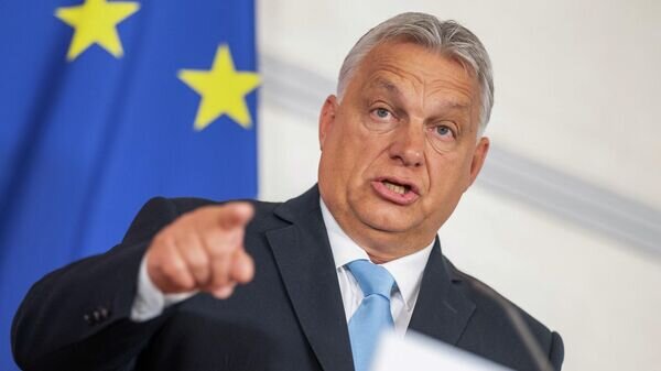    © AFP / GEORG HOCHMUTH