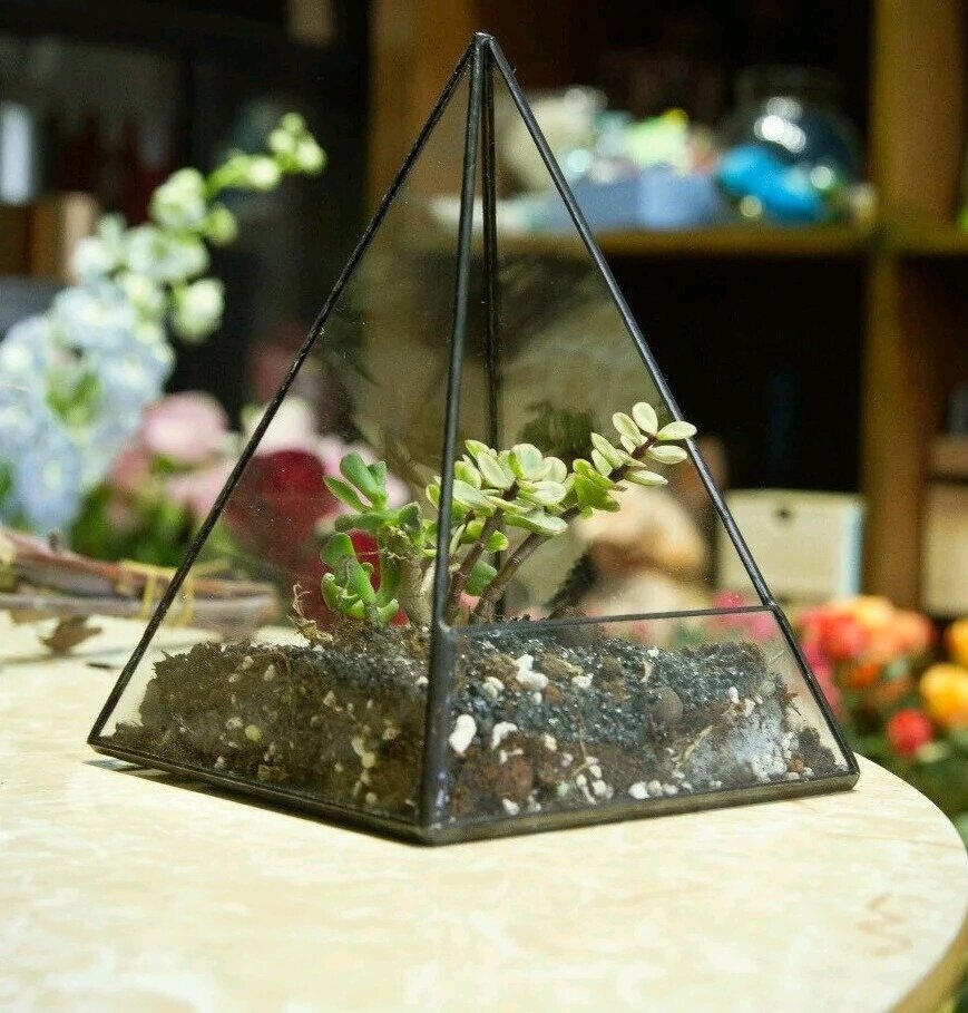 Стеклянный аквариум в форме пирамиды 