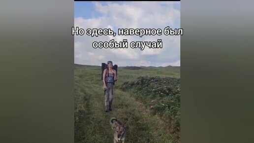 Собака потеряла лапку в приюте, была дикой и зажатой, а потом нам позвонили из Германии