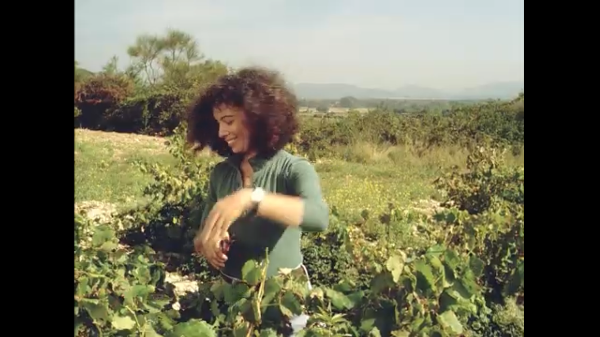 Кадр из фильма