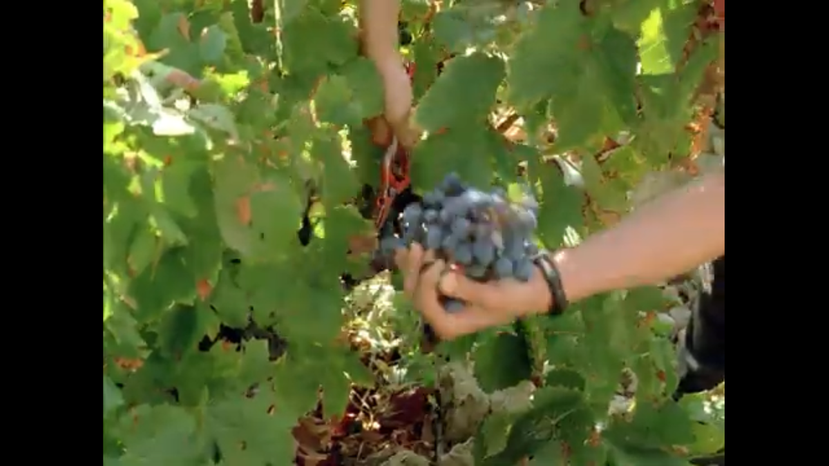 Кадр из фильма 