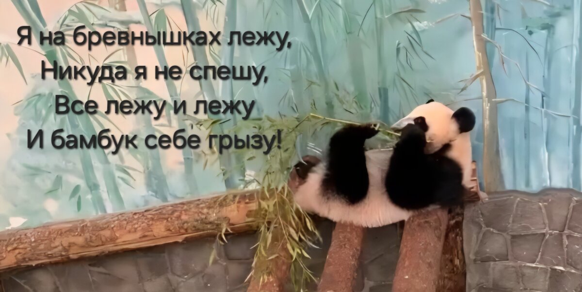 Авторская открытка Т.В. Федотовой