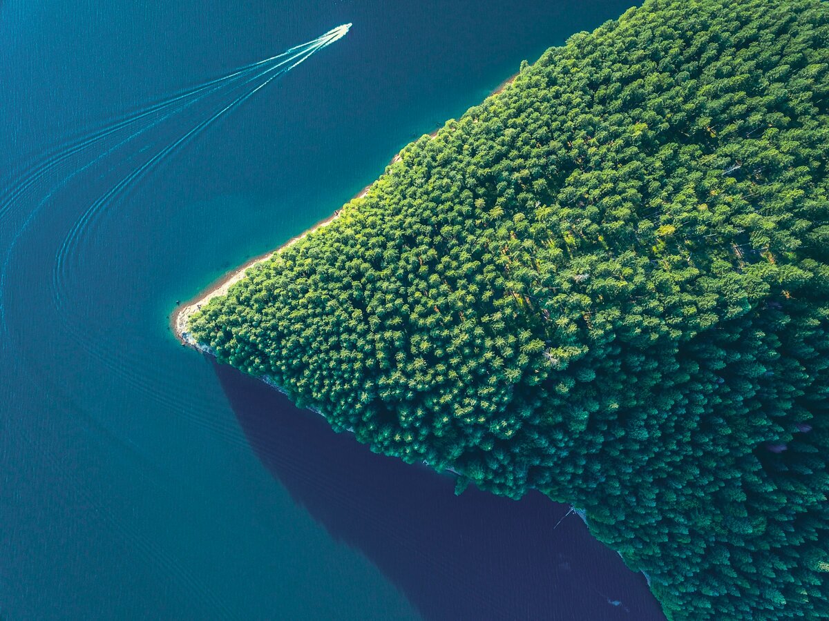 Фото с бесплатного фотостока https://unsplash.com, автор Dan Meyers