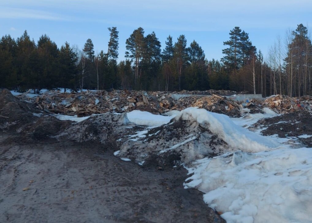    Фото предоставлено жителями Наталья Савченко