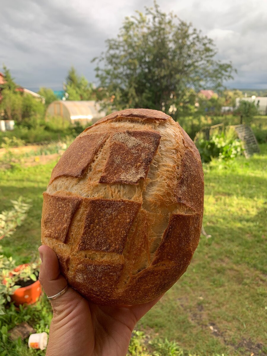 Домашний хлеб на закваске