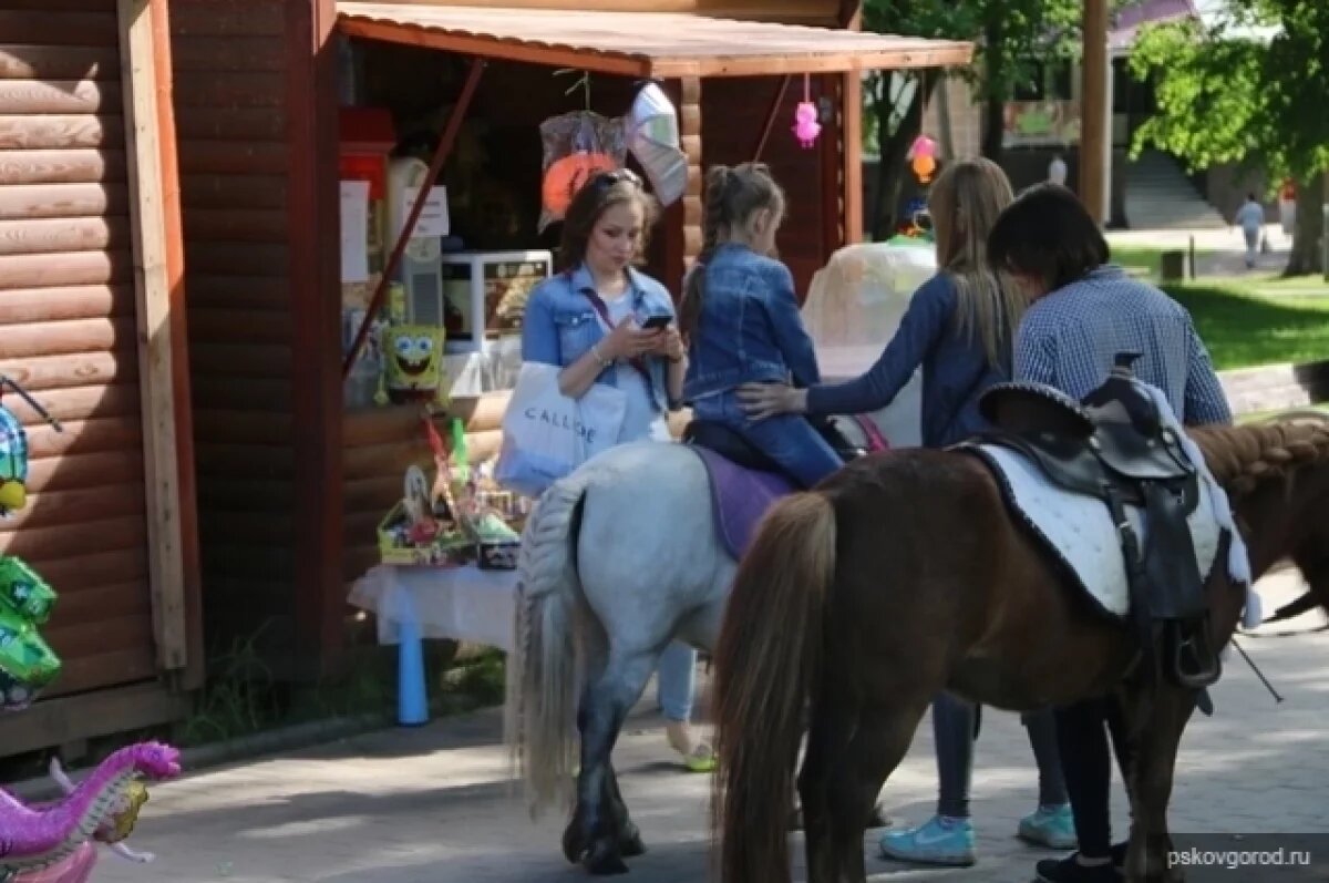    При катании на лошадях не соблюдаются даже меры безопасности.