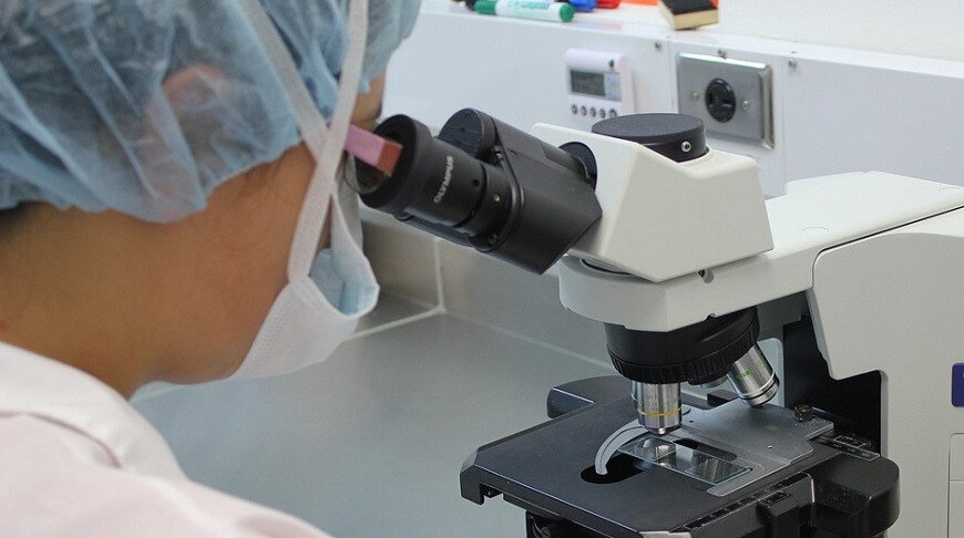    Фото pixabay.com