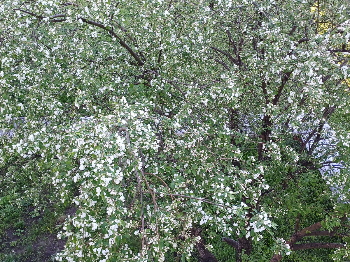 А за окном - лепота