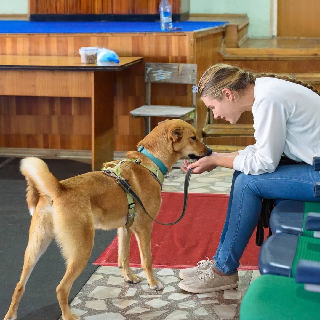 Так, и что там у тебя?