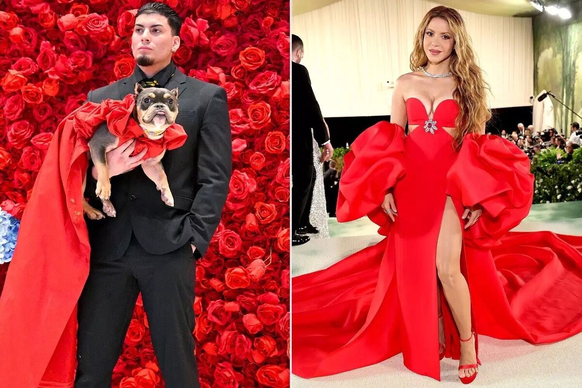     Бульдог и образ Шакиры