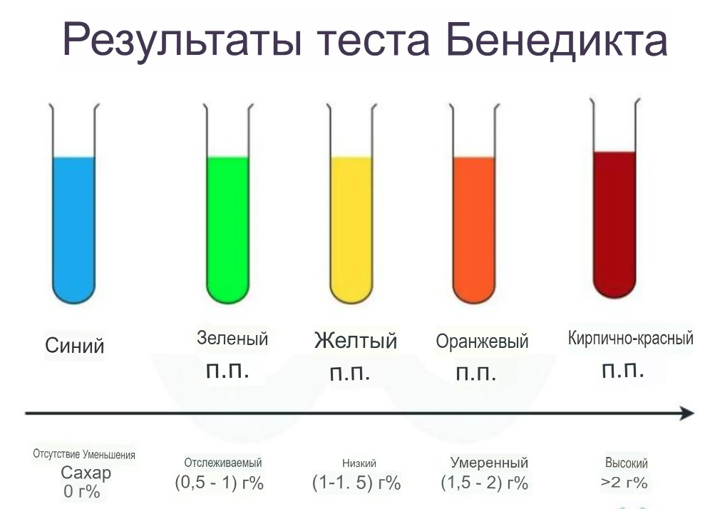 РЕАКТИВ БЕНЕДИКТА | Эпонимы и Мы | Дзен