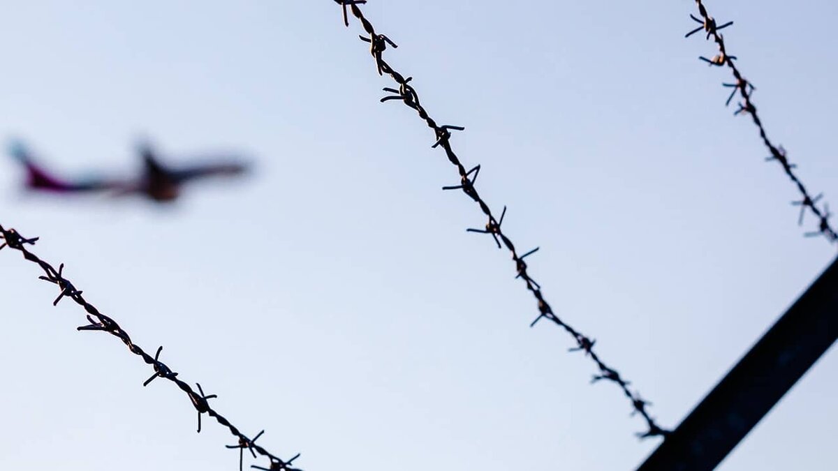 Фото: https://tvzvezda.ru/ (https://mcdn.tvzvezda.ru/storage/news_other_images/2024/01/23/b908ca525cd34b95b60cf61b9c66edae.jpg)