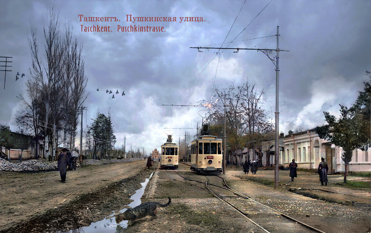 Из серии Открытки Ташкента. Издатель — Кирснер А. Л 1916