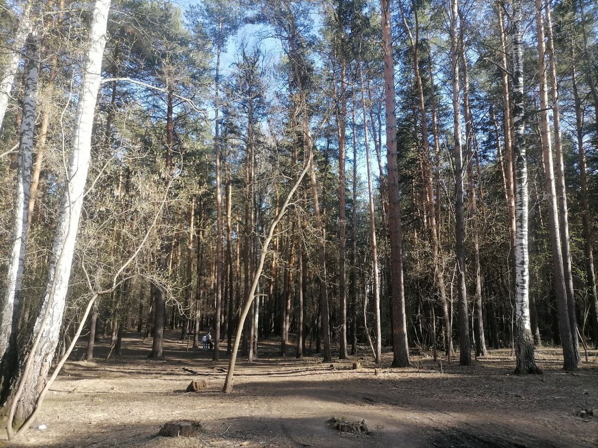 Осадков будет немного.  Фото: Фото: ФедералПресс / Екатерина Ломакина