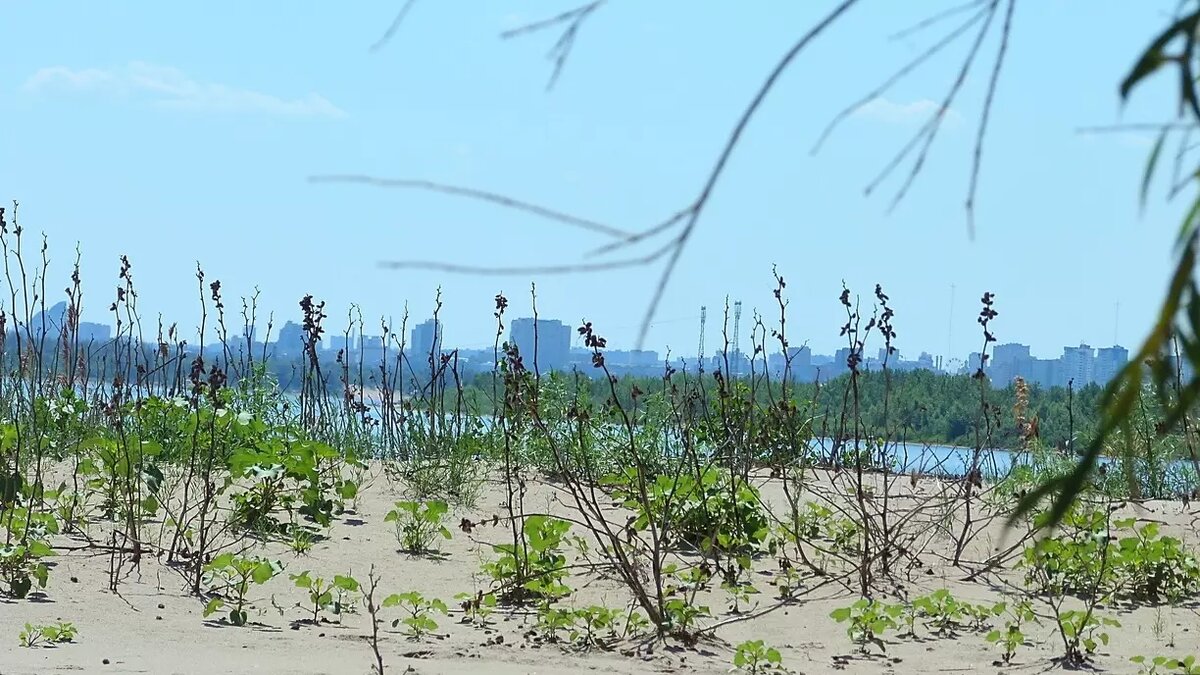     Источник: Город55