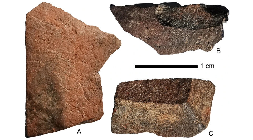   Ceri Shipton et al. / Nature Communications, 2024