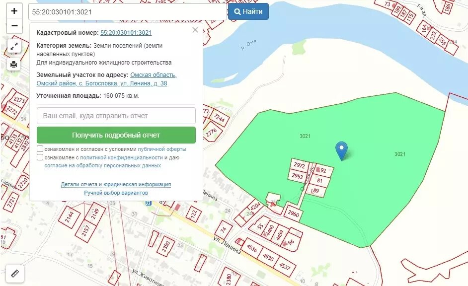     Источник: Публичная кадастровая карта Омской области