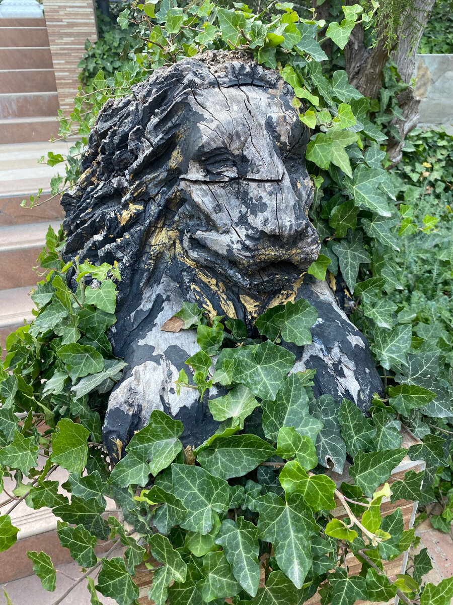 Лев крымский - не английский😀