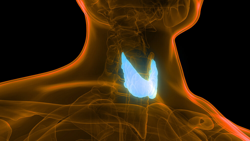 Фото: magicmine / Photogenica