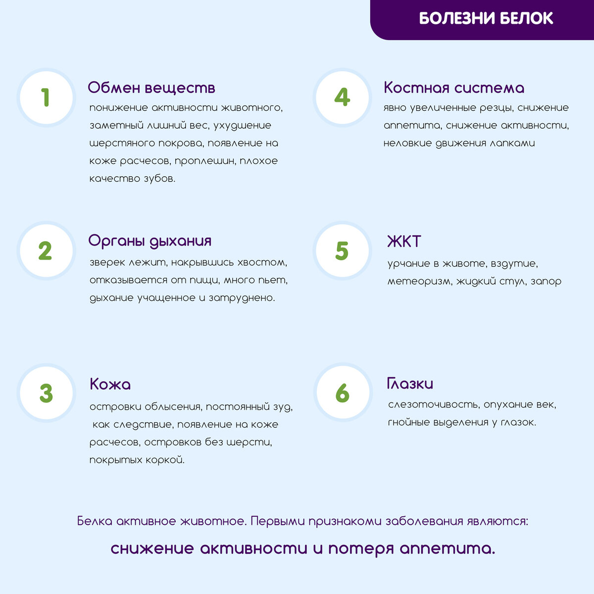 Чем болеют белки