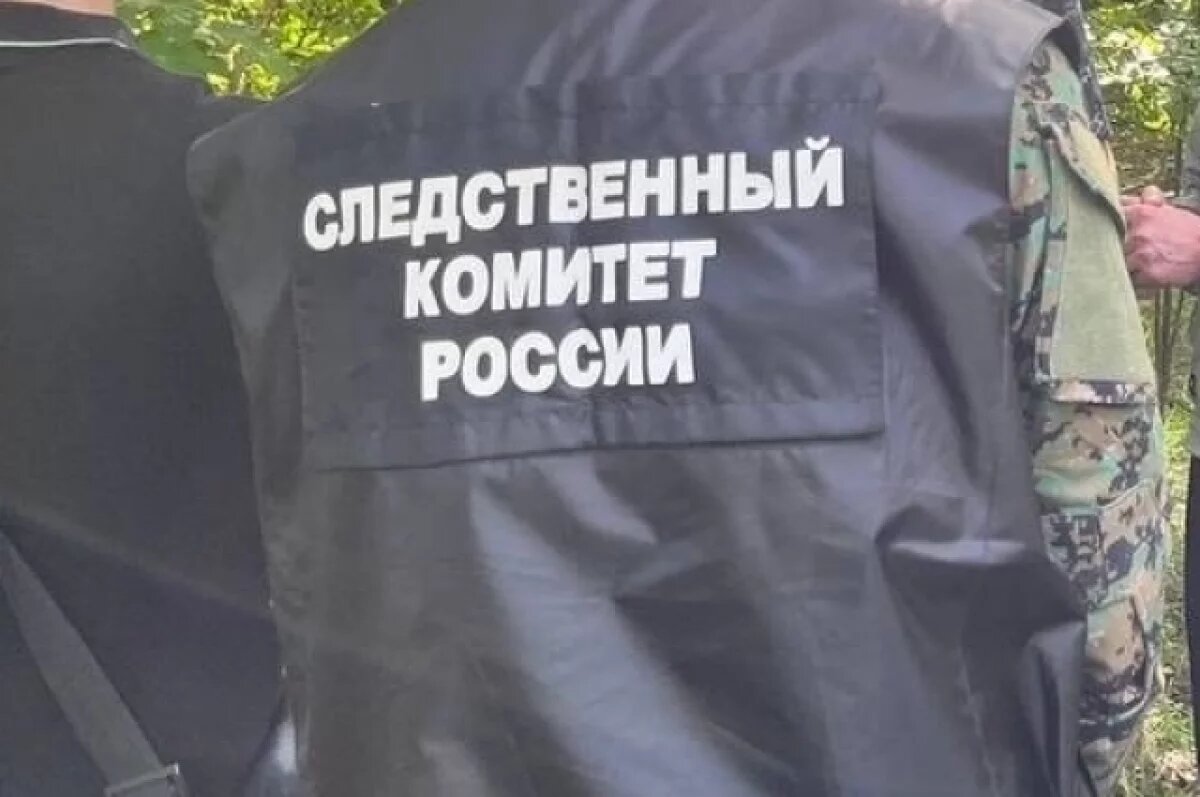    СК прокомментировал похищение девочки в Ростовской области