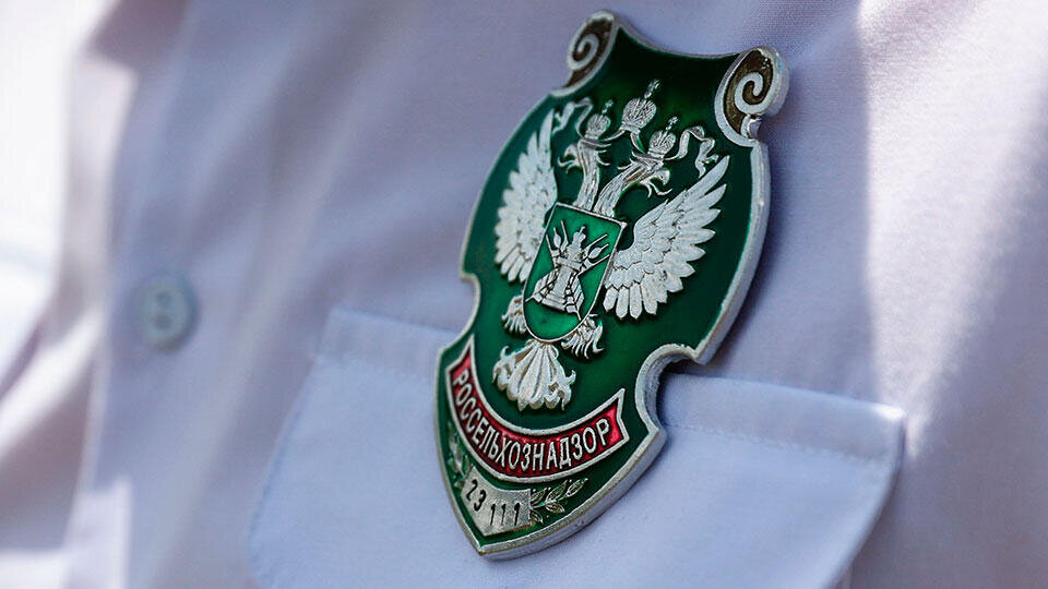 Фото: © РИА Новости/Виталий Тимкив