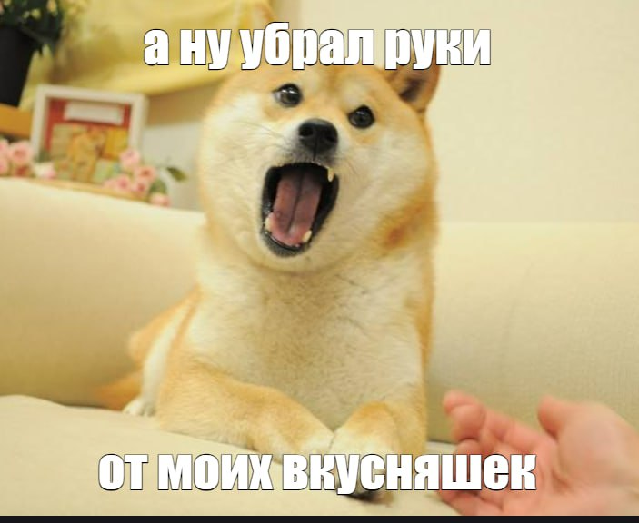 Доге порода собаки мем