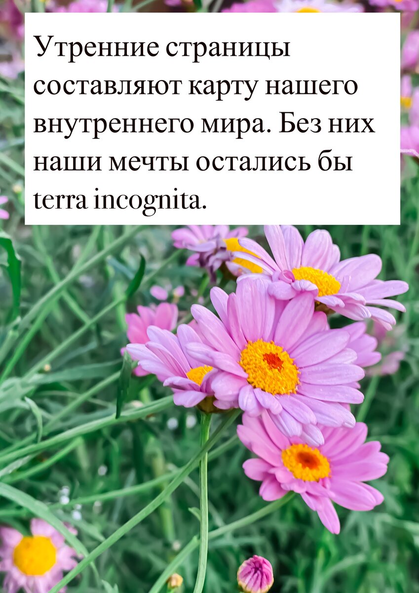 цитата из книги Джулии Кэмерон «Путь художника»