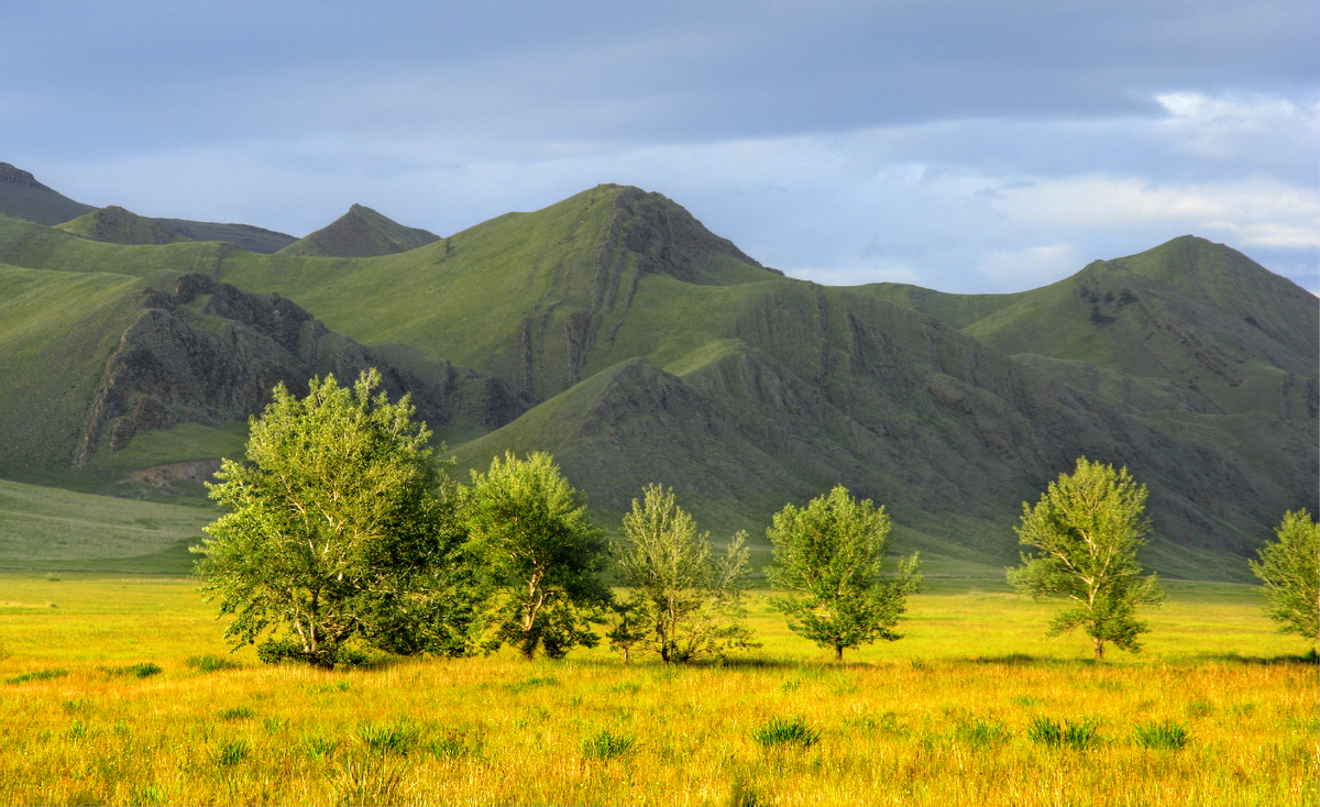Фотография, стихотворение Василия Глуцкого