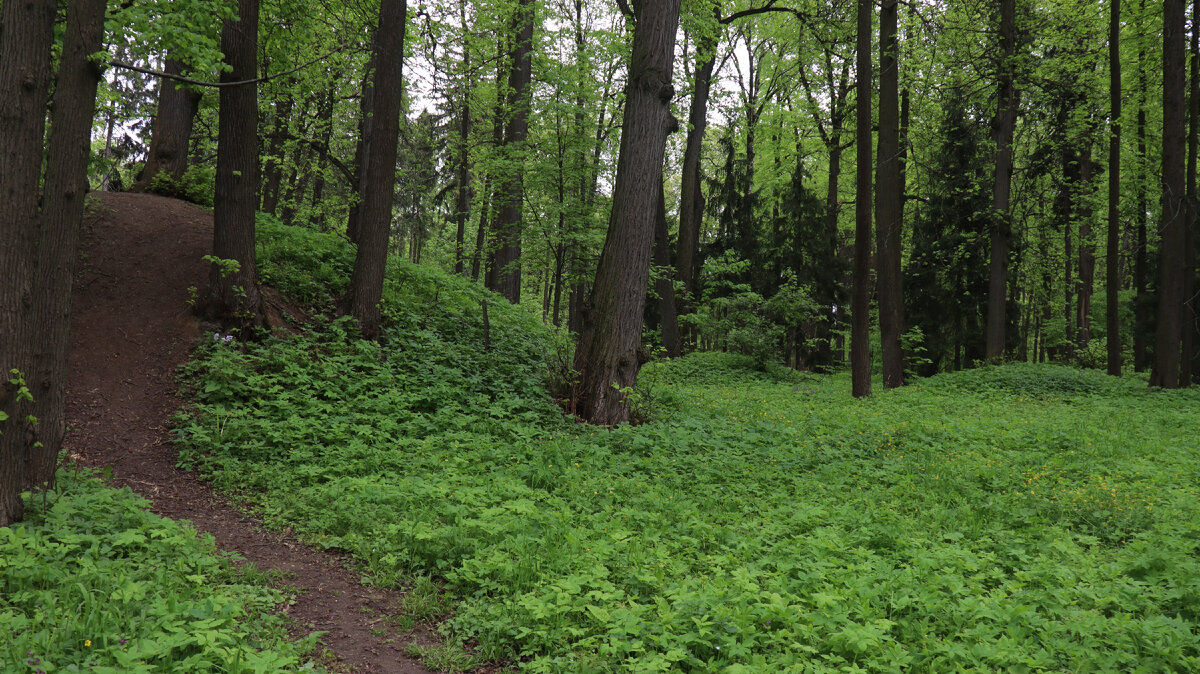 Путь на курган