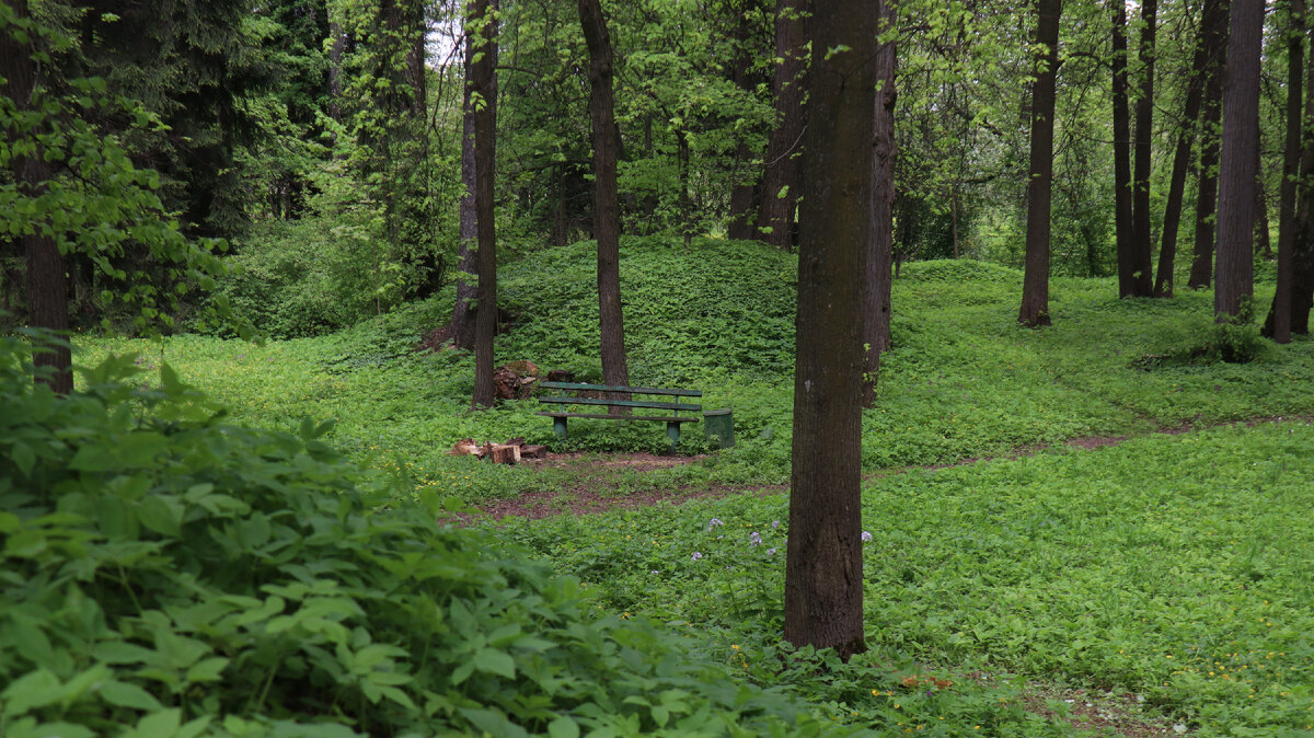 Еще несколько курганов