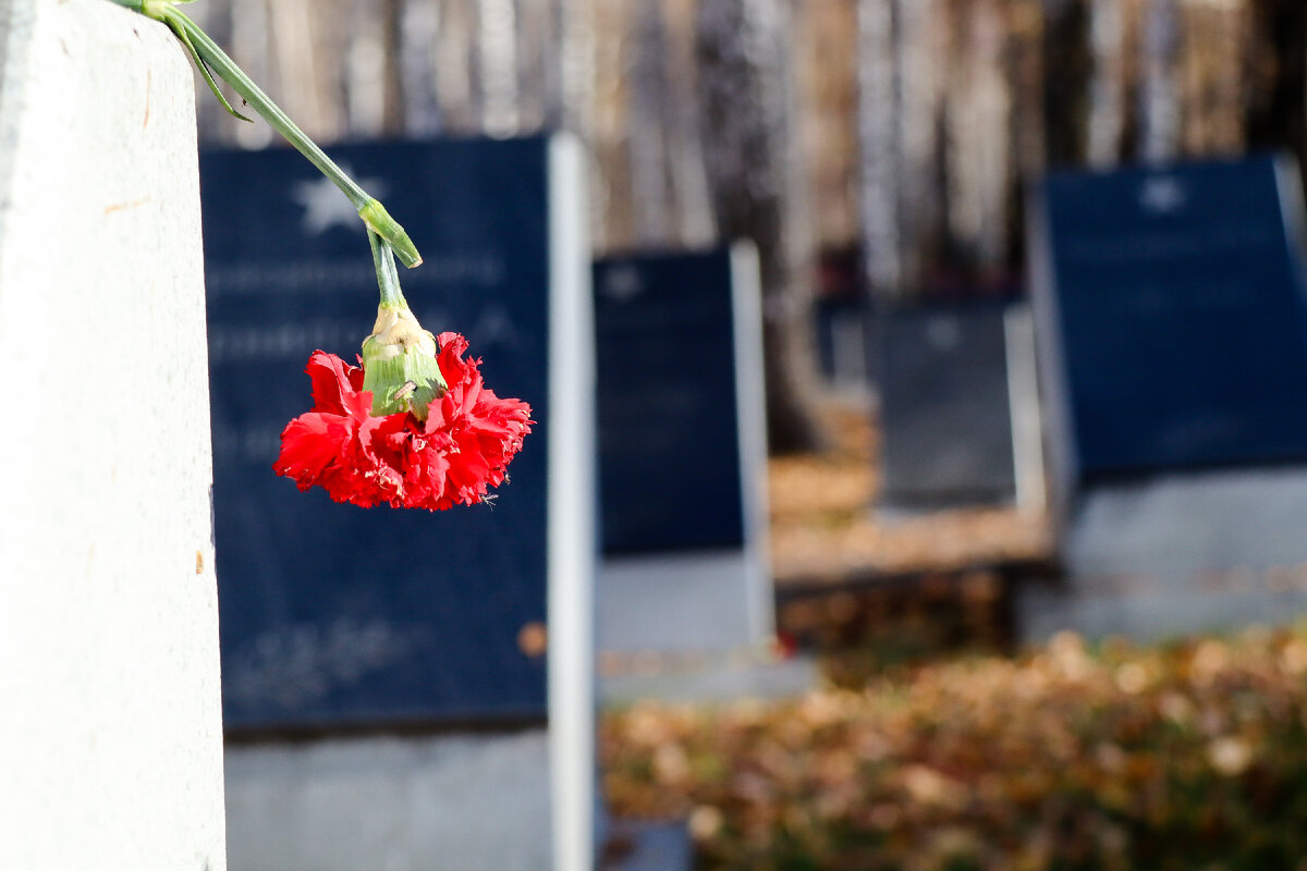 Фото: Elena Mayorova/Globallookpress 