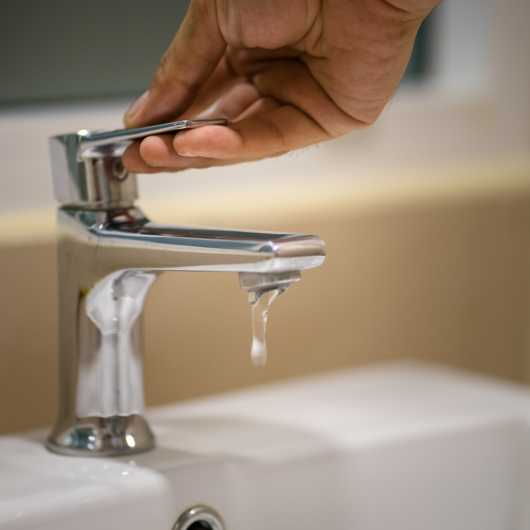 Источник фото: Canva 