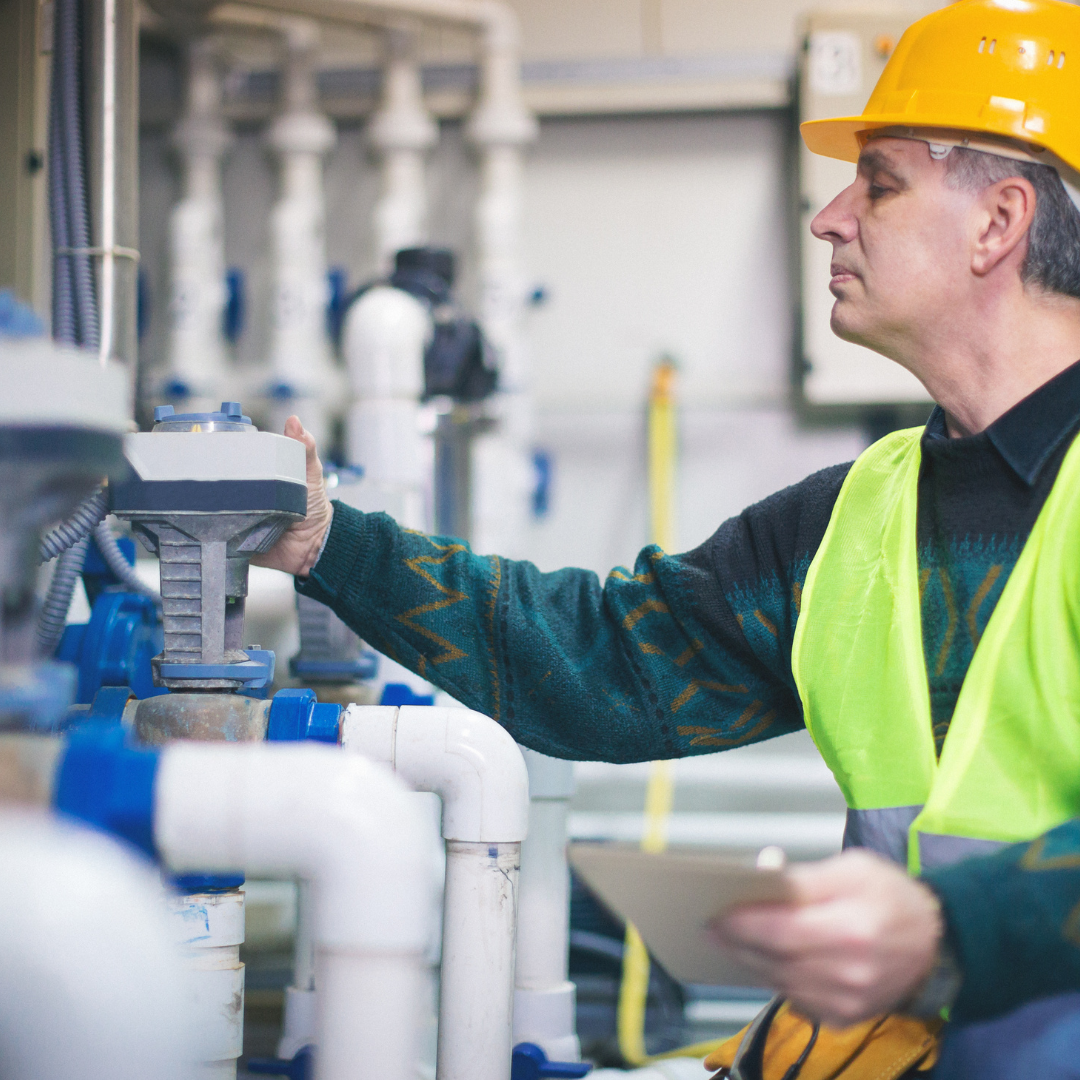 Источник фото: Canva