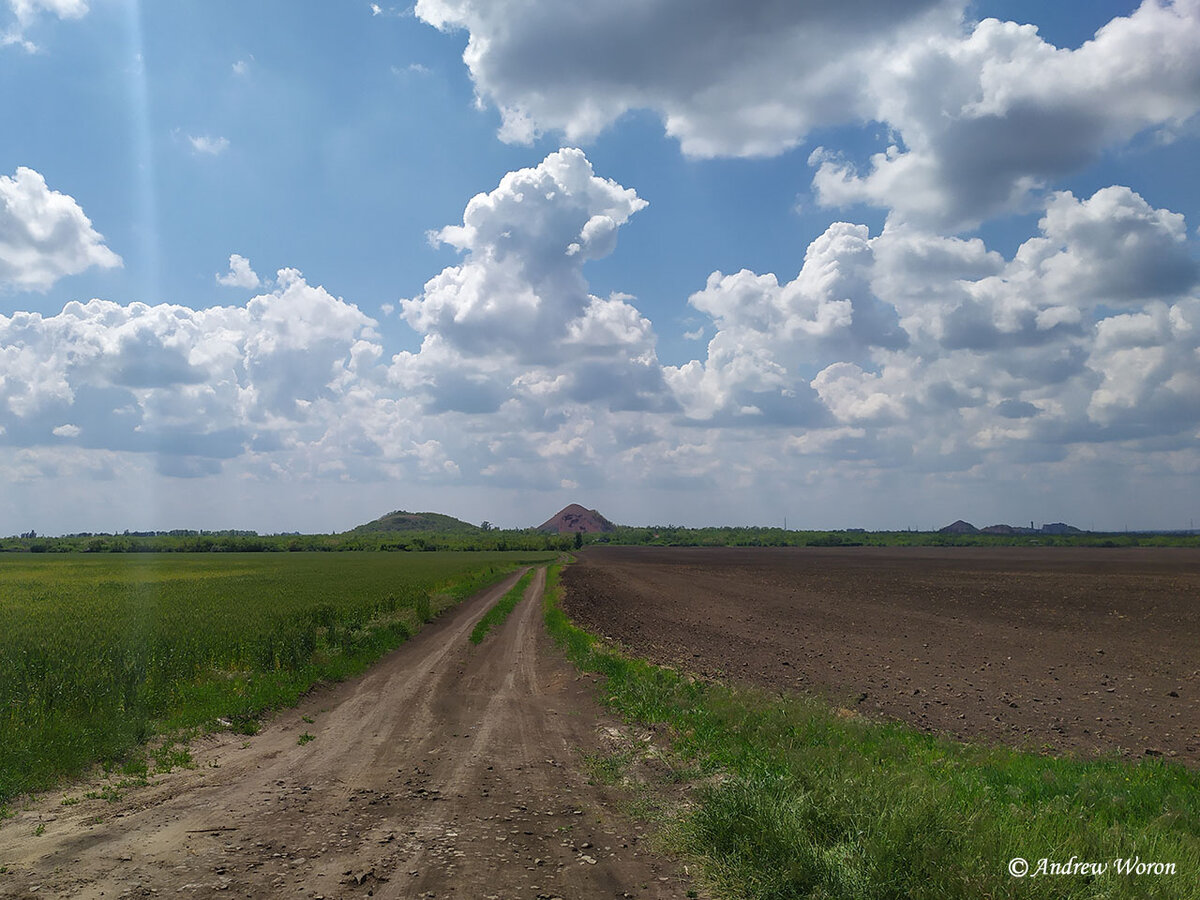 Примерно в ту сторону