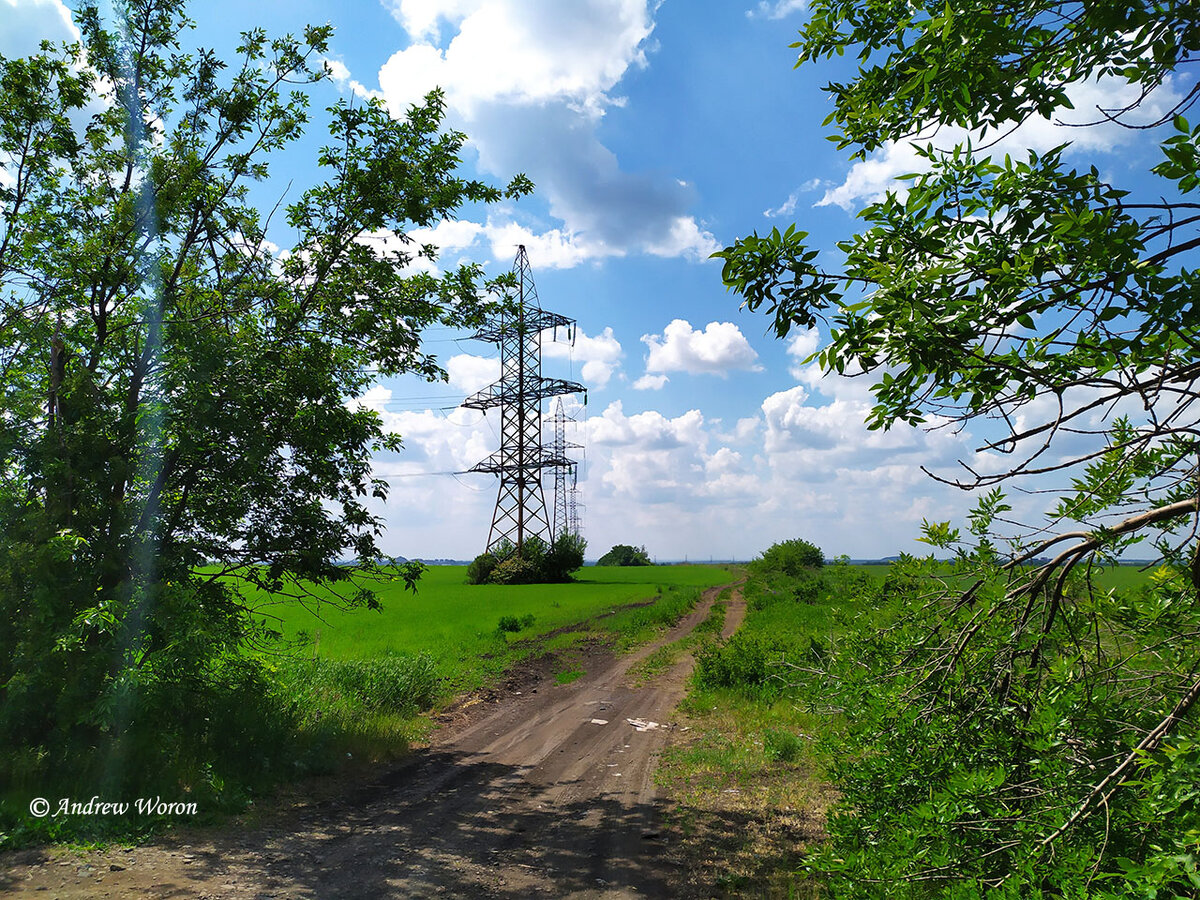 Сельская местность
