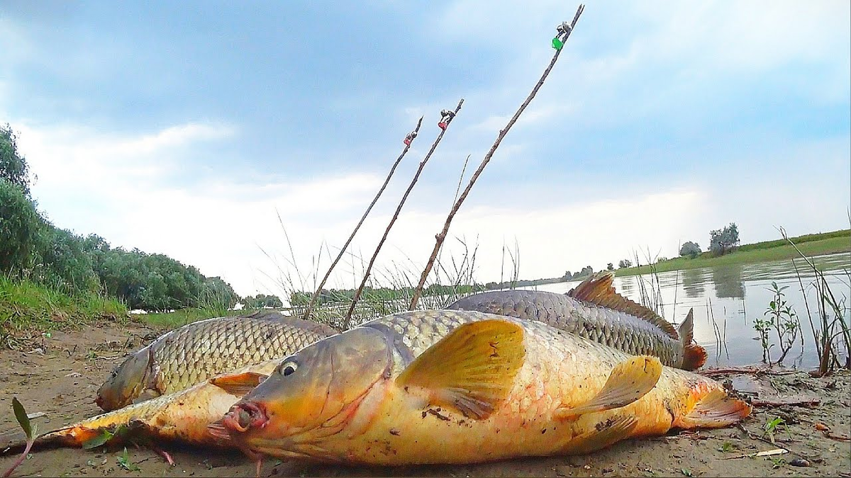 Фото с сайта: https://i.ytimg.com/vi/hfgmjpwj3LQ/maxresdefault.jpg