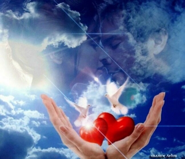 Картинка из открытого доступа Яндекс картинки