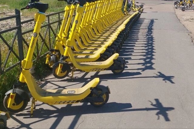    Фото:  АиФ/ Елена Банокина