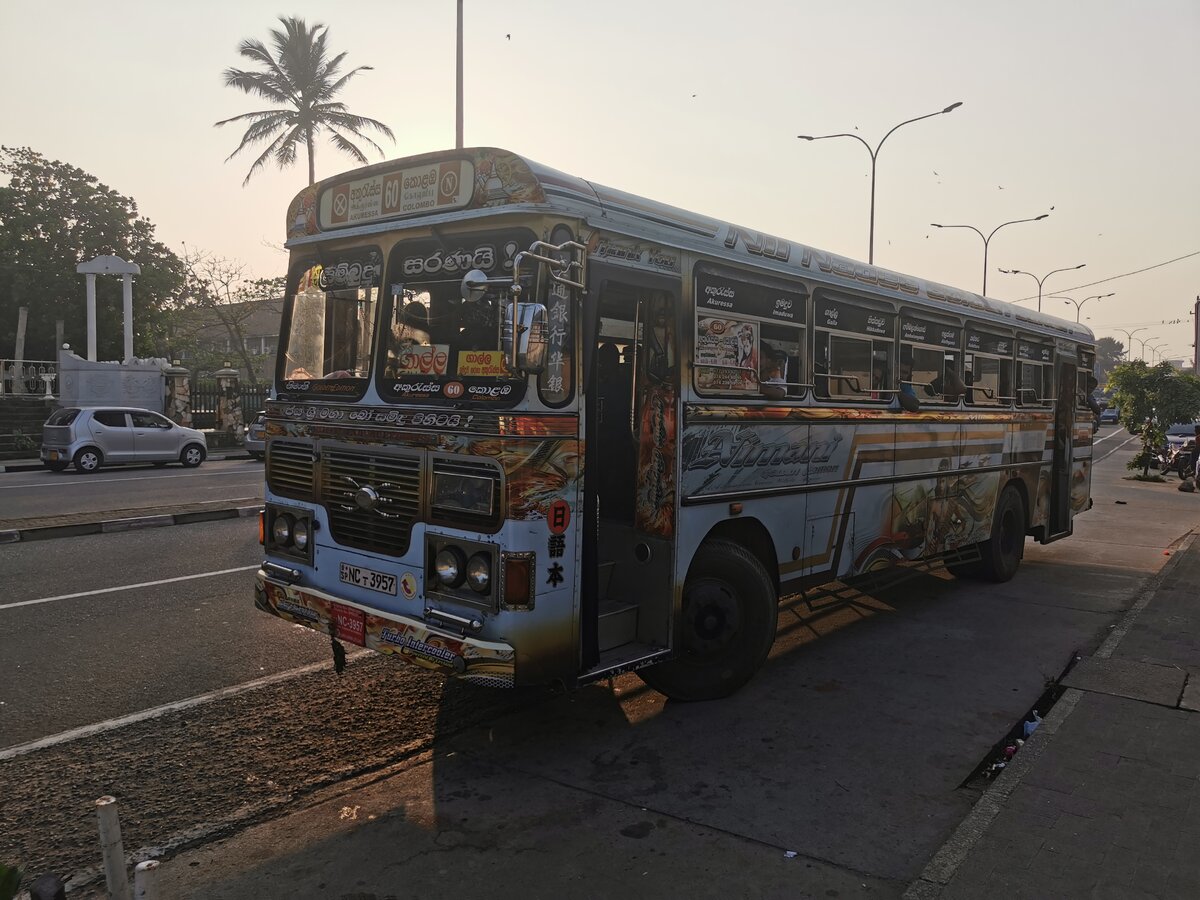 Крейзибасы знамениты прежде всего своим ярким внешним видом