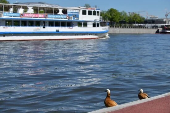    Фото: Юлия Федотова