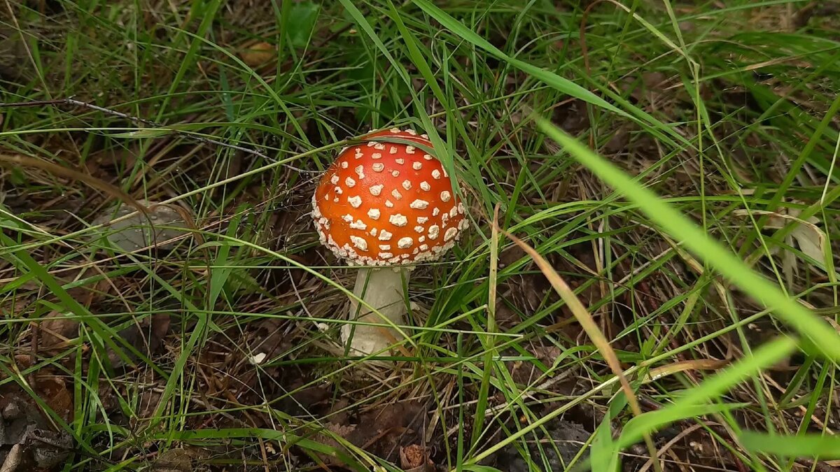     Источник: newsnn.ru