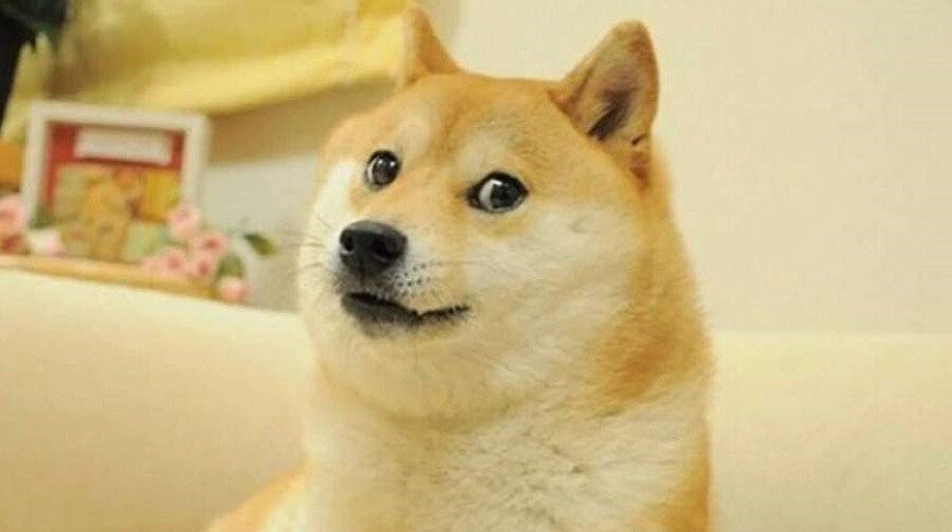    Фото с сайта хозяйки Кабосу