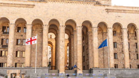    Парламент Грузии запустит процедуру преодоления вето на закон об иноагентах Ирина Петрова