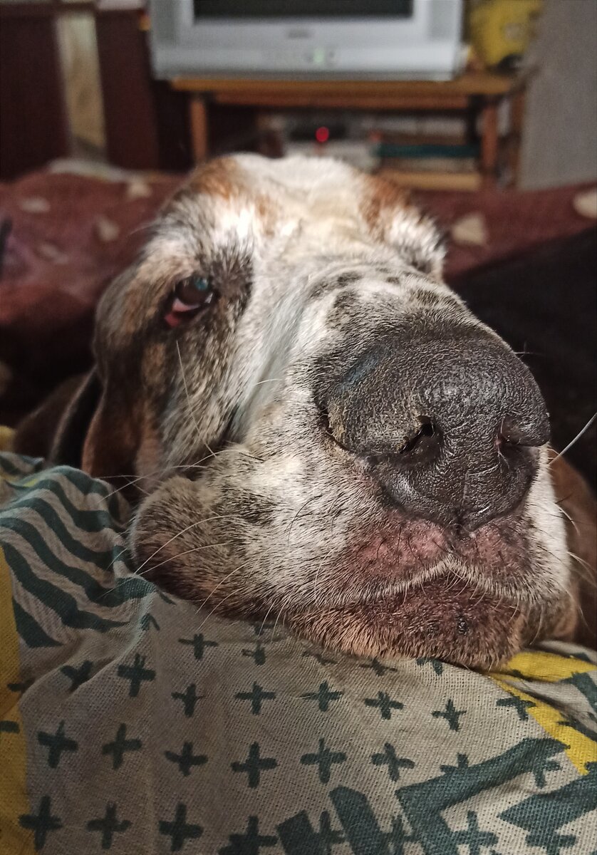 Терапевтический пятак