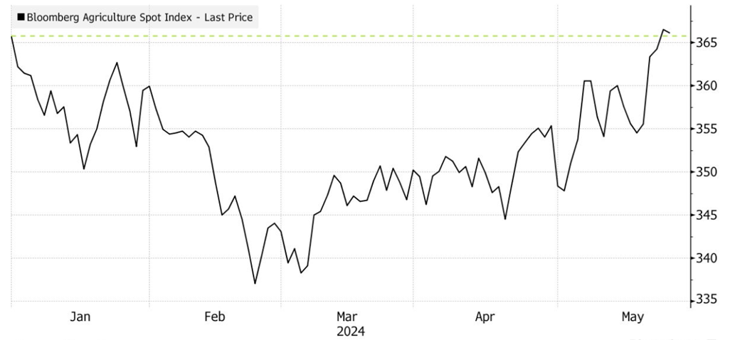 Индекс сельского хозяйства Bloomberg вырос по сравнению с началом года