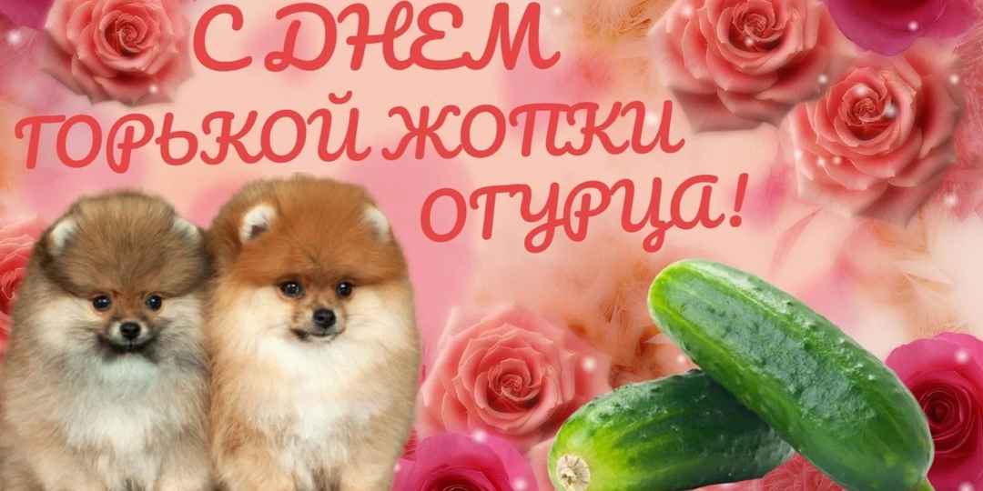 Хуже шаблонной открытки в WhatsApp может быть только открытка с пометкой «Переслано»