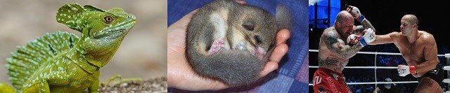 #мозговой штурм #задания для квеста #головоломка #задача #GrayMage