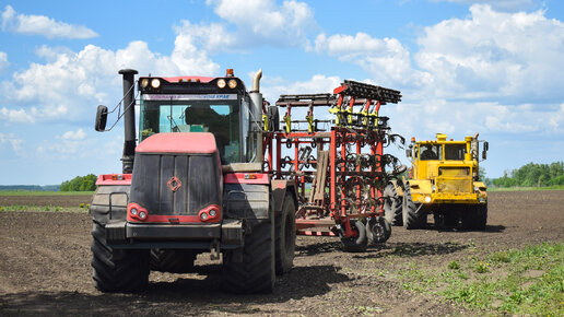 Трактора Кировец К-744Р4 и К-700А на культивации паров. / Kirovets K-744R4 and K-700A tractors.