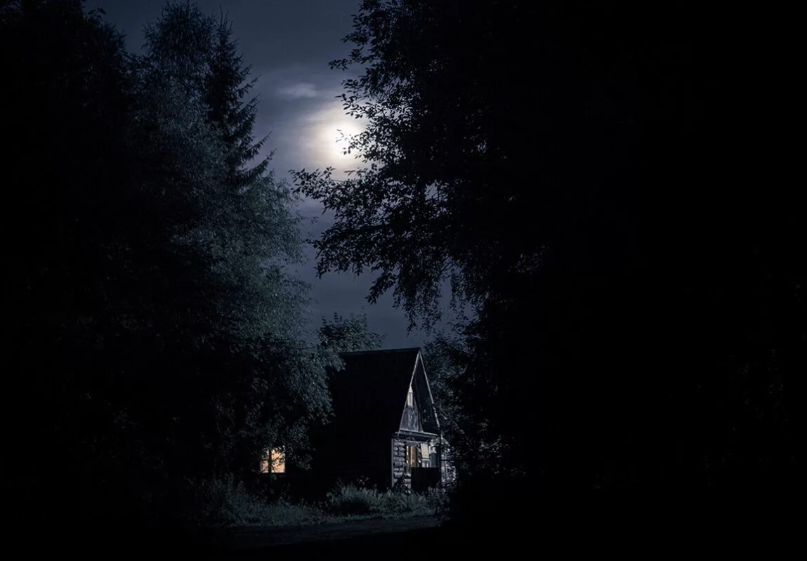 яндекс картинки